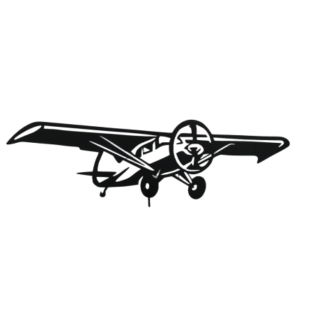 Avion en vol (petit modèle)