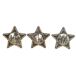 Etoiles de Noël